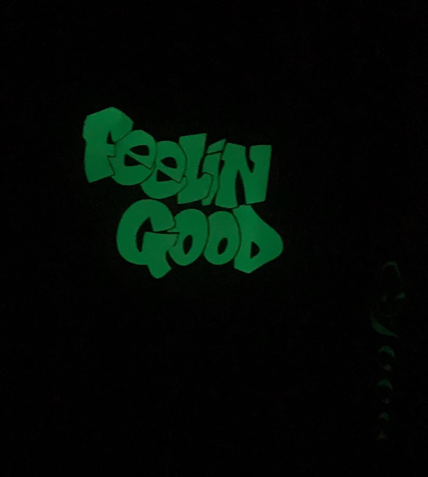 FGLB Glow in the Dark  Hoodie logo